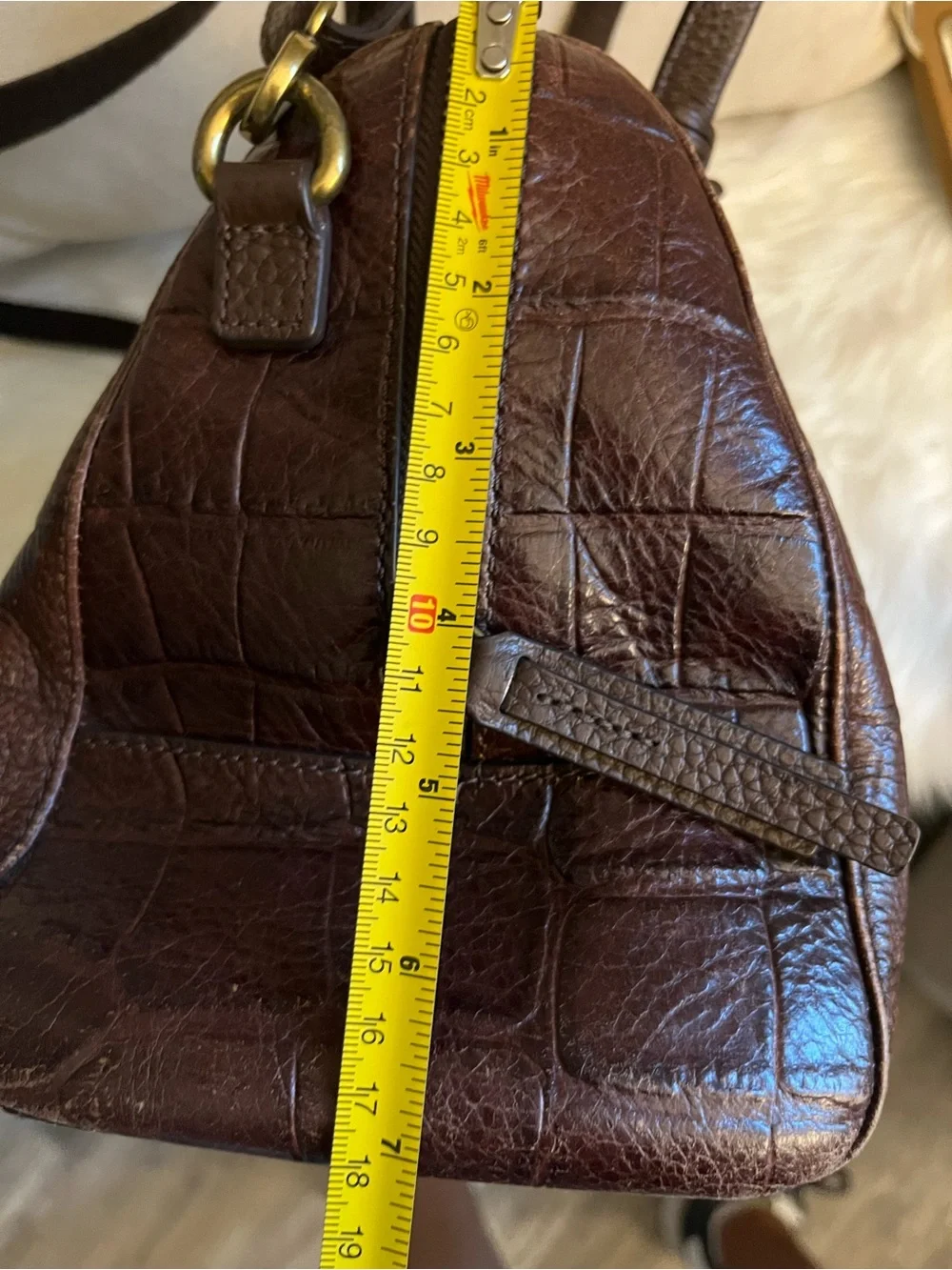 Fossil premium brown